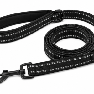 Reflective Dog Leash with Padded Handle – Heavy Duty Nylon Pet Walking Lead
