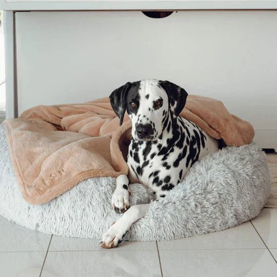 Bouclé Dog Bed & Weighted Blanket Bundle - Image 3